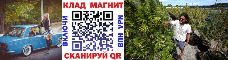 Виды наркотиков купить Михайловск КЕТАМИН  Меф мяу мяу  Гашиш  МАРИХУАНА  Кокаин  Alpha PVP 