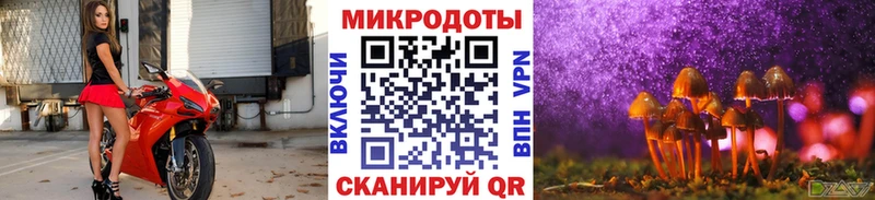 где найти   Михайловск  Галлюциногенные грибы Cubensis 